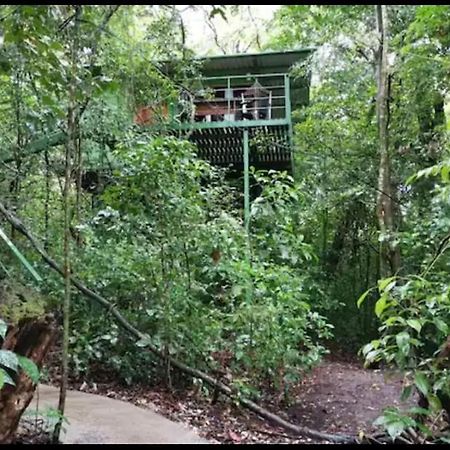 Jungle Living Tree Houses Monteverde Exterior photo