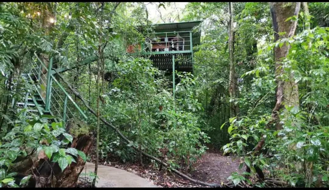 Jungle Living Tree Houses Monteverde Exterior photo