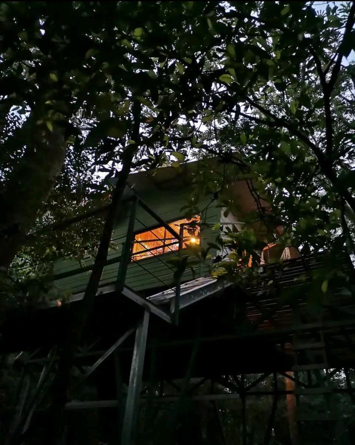 Jungle Living Tree Houses Monteverde Exterior photo