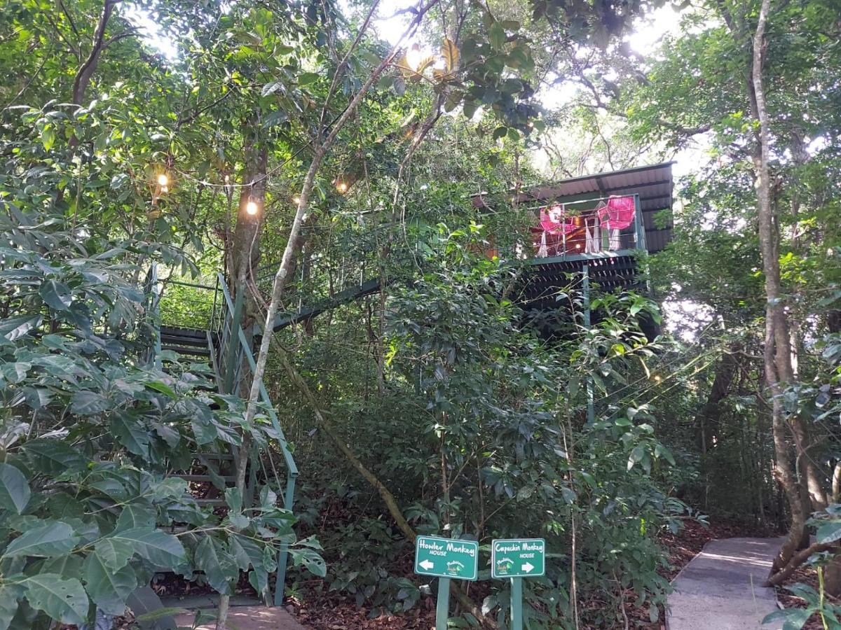 Jungle Living Tree Houses Monteverde Exterior photo