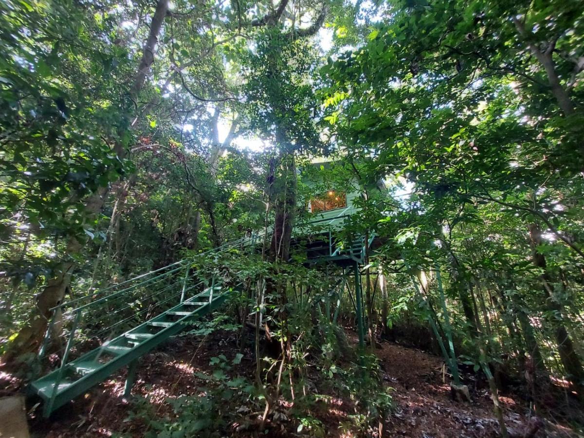 Jungle Living Tree Houses Monteverde Exterior photo