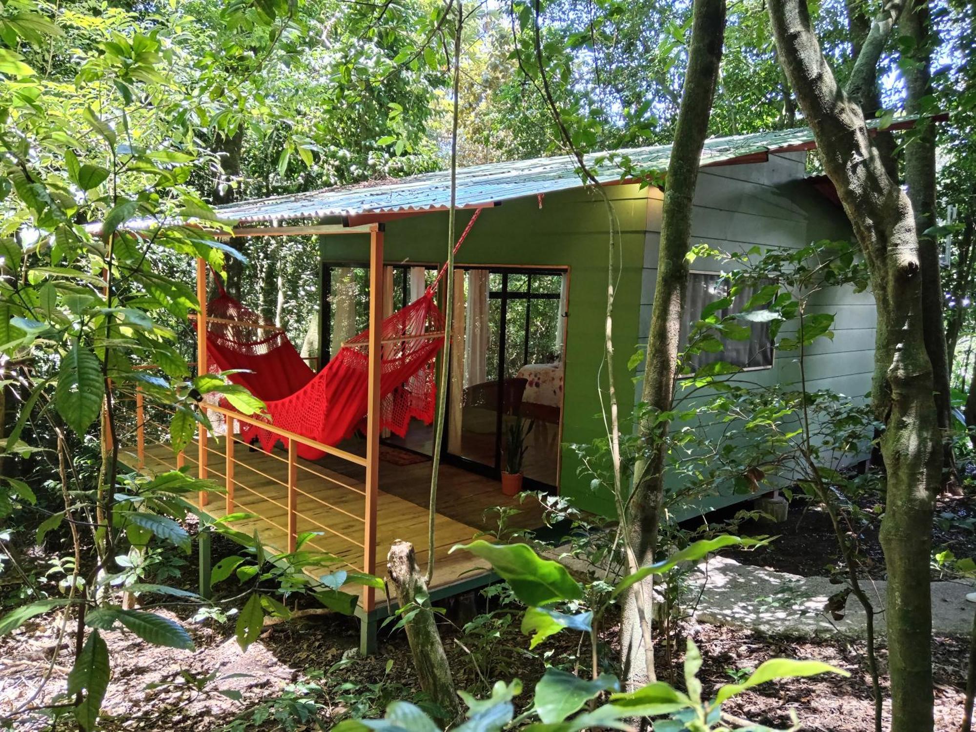 Jungle Living Tree Houses Monteverde Exterior photo