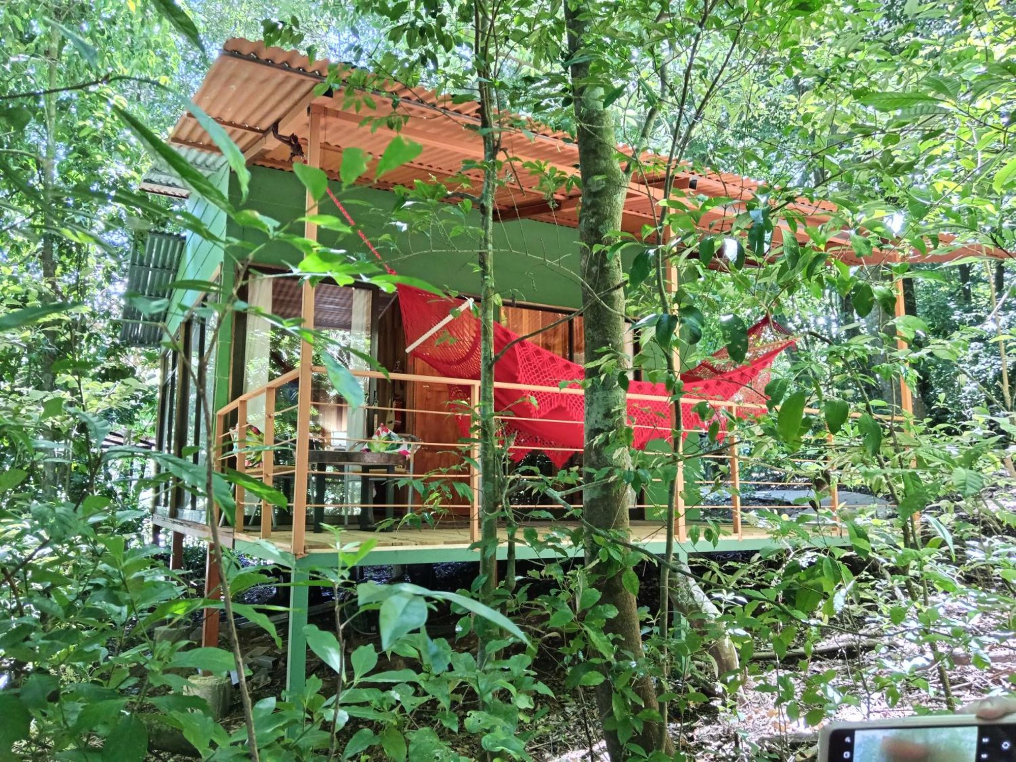 Jungle Living Tree Houses Monteverde Exterior photo