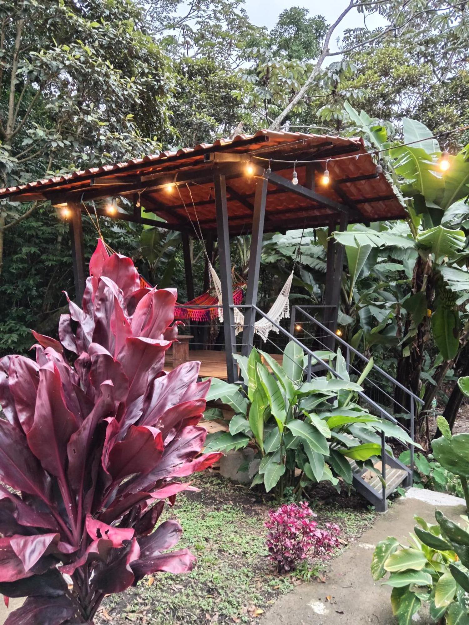Jungle Living Tree Houses Monteverde Exterior photo