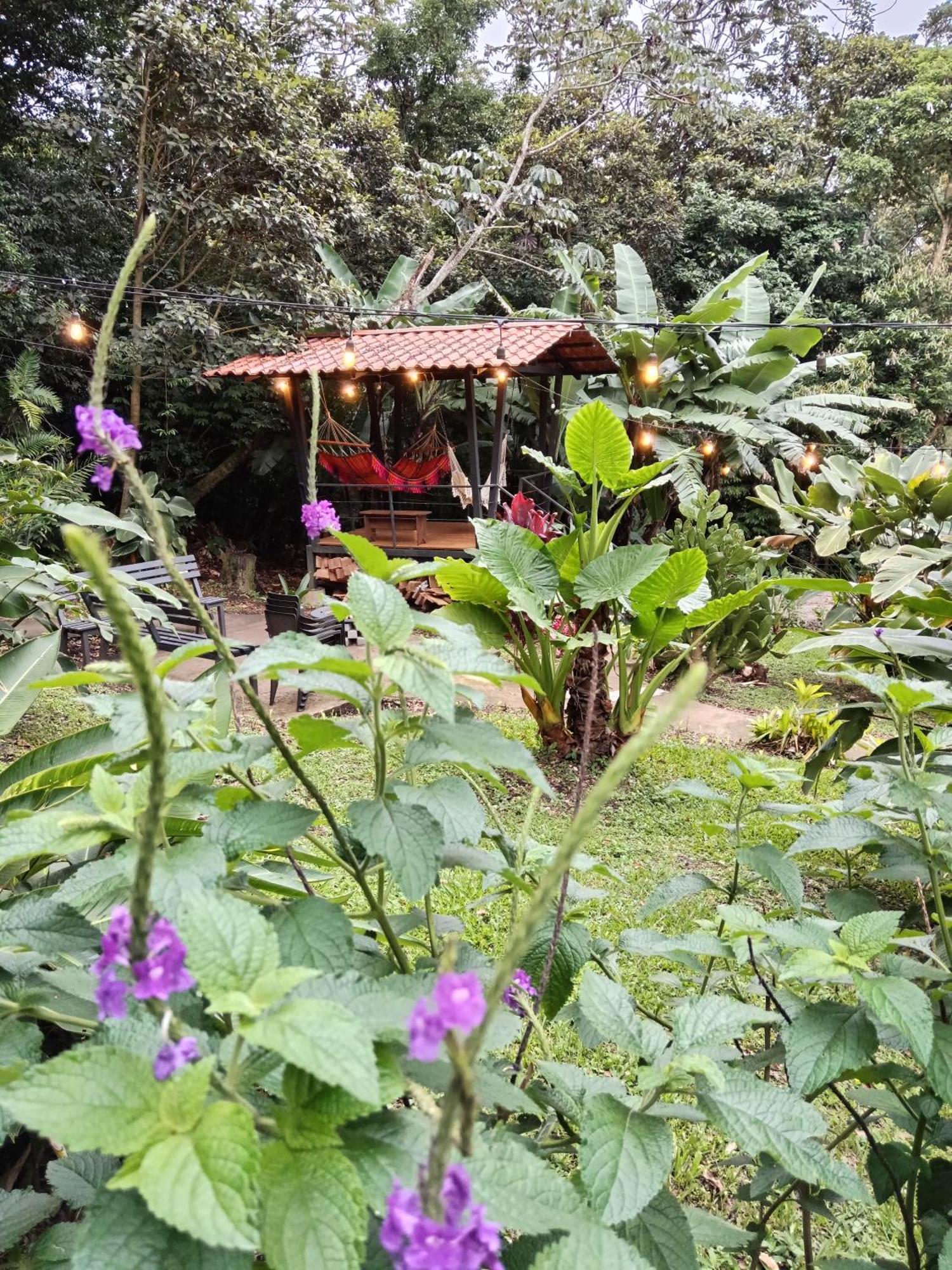 Jungle Living Tree Houses Monteverde Exterior photo