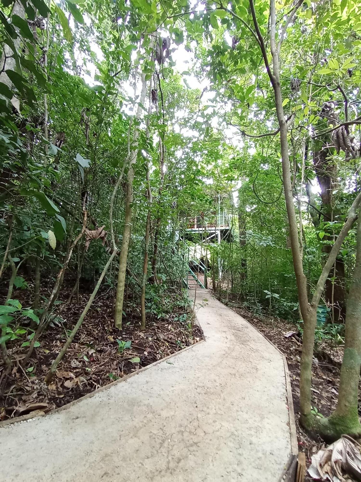 Jungle Living Tree Houses Monteverde Exterior photo