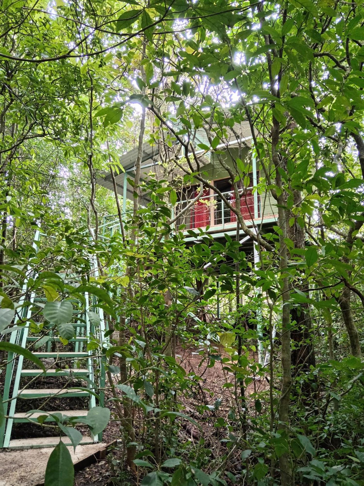 Jungle Living Tree Houses Monteverde Exterior photo