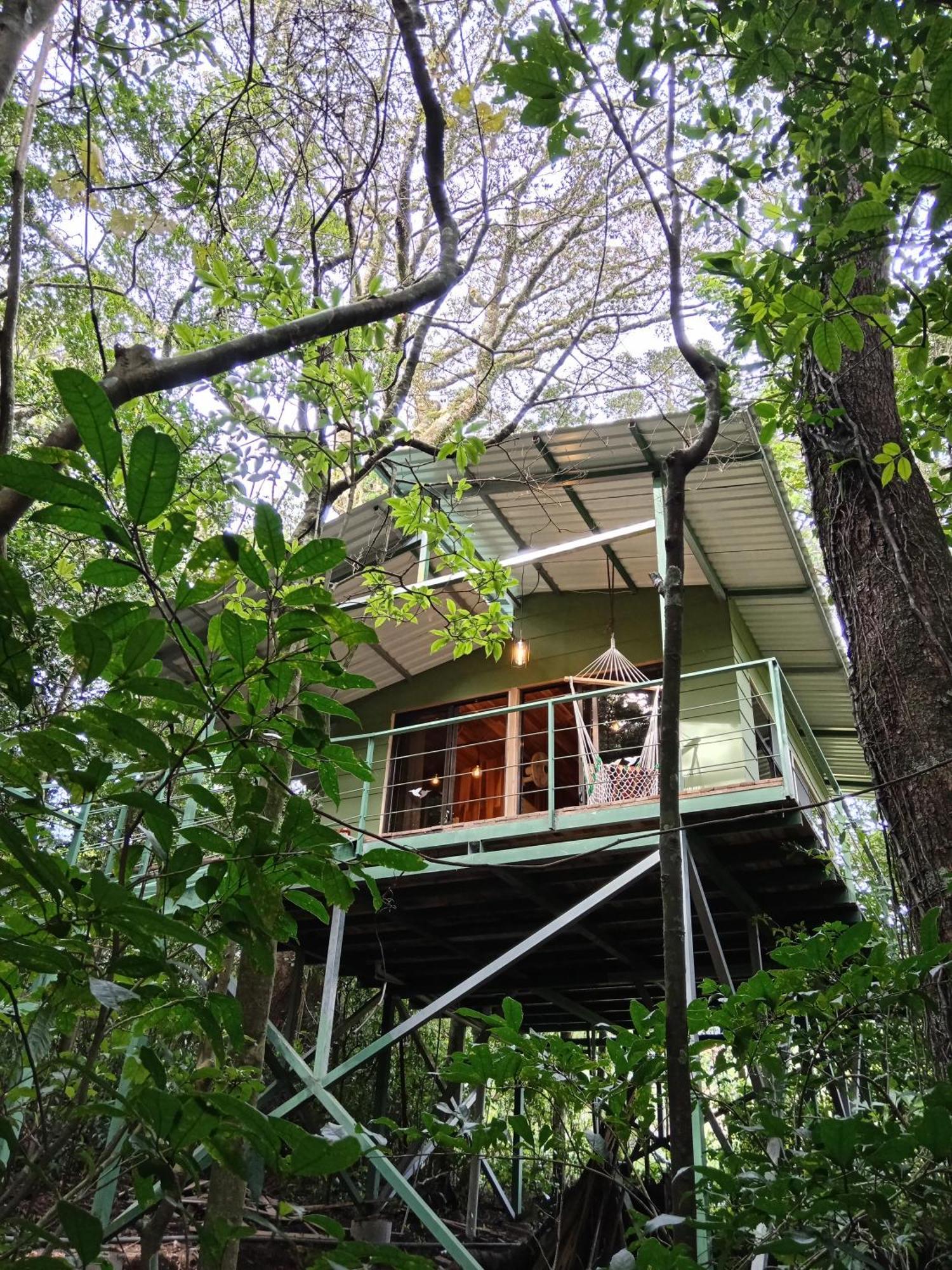 Jungle Living Tree Houses Monteverde Exterior photo