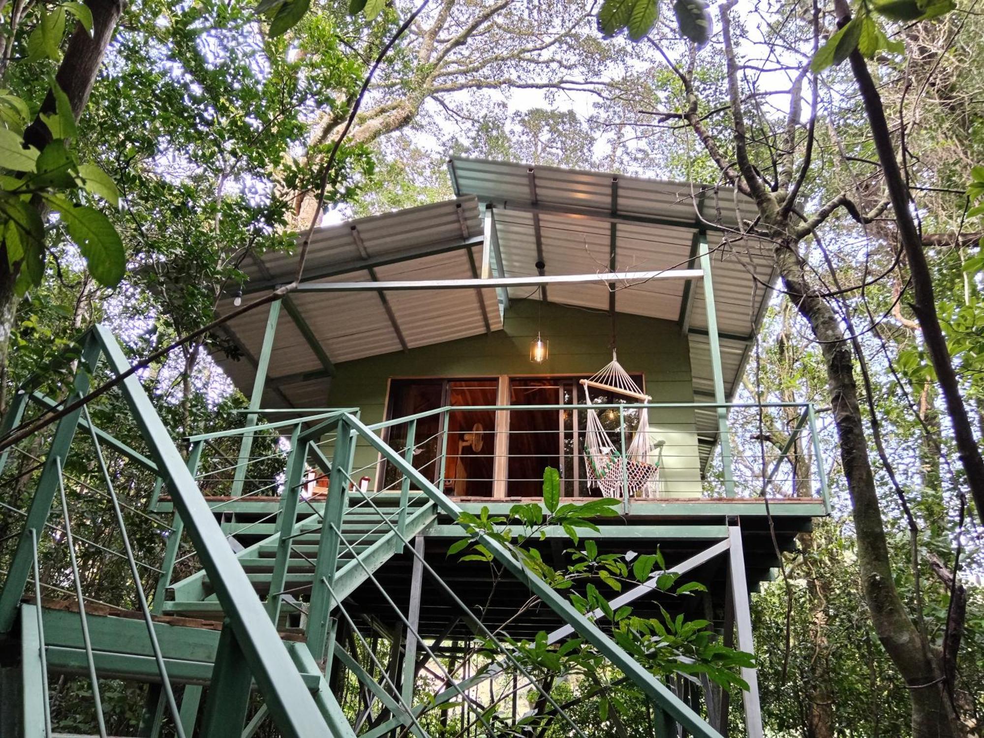 Jungle Living Tree Houses Monteverde Exterior photo