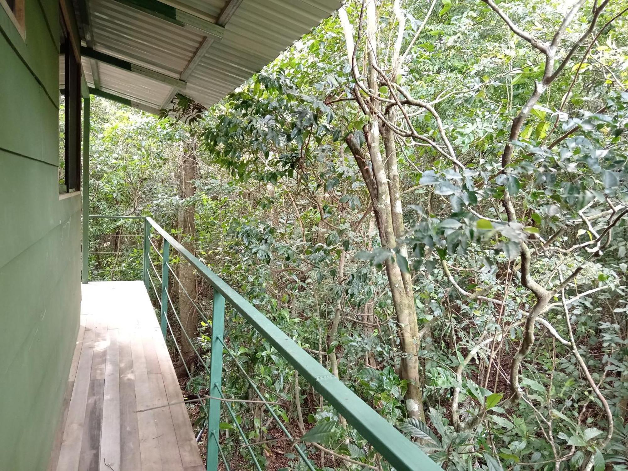 Jungle Living Tree Houses Monteverde Exterior photo