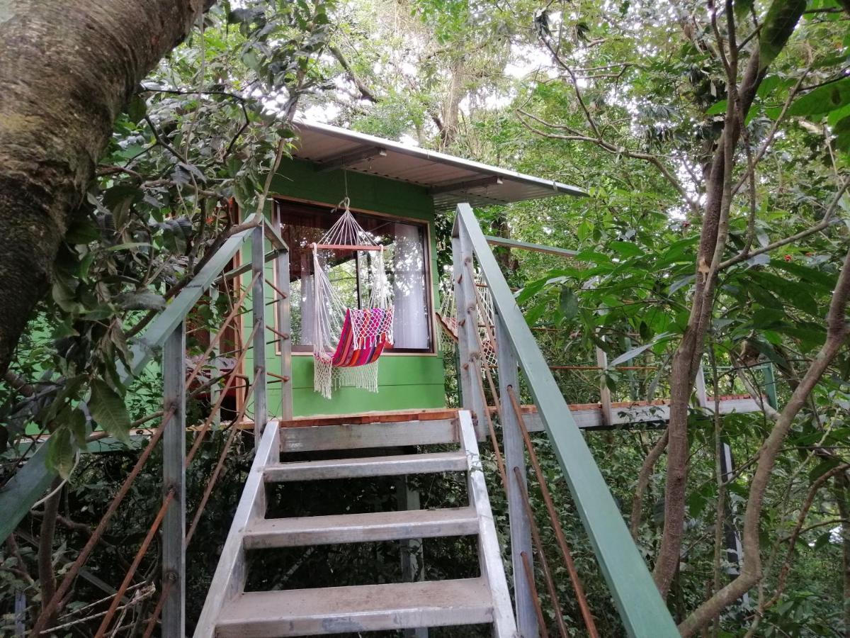 Jungle Living Tree Houses Monteverde Exterior photo